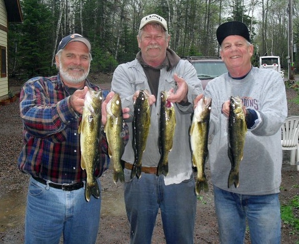 Line of walleye held by Craig, Steve, and Bill. They are soaked from fishing in the rain, but they are smiling!
