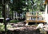 View beside Cabin 3 looking toward the lake. Green pines and blue water predominate.