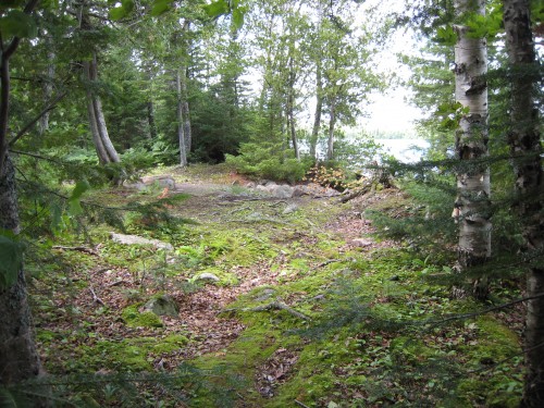 Cabin 5 Path to the Lake