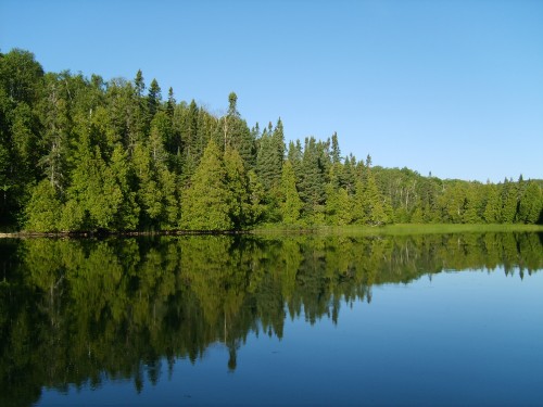 Trout Lake Resort Lakeside Cabins Pet Friendly