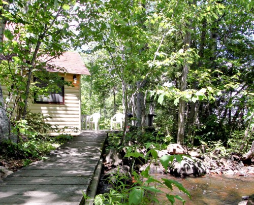 Cabin 1 Bridge