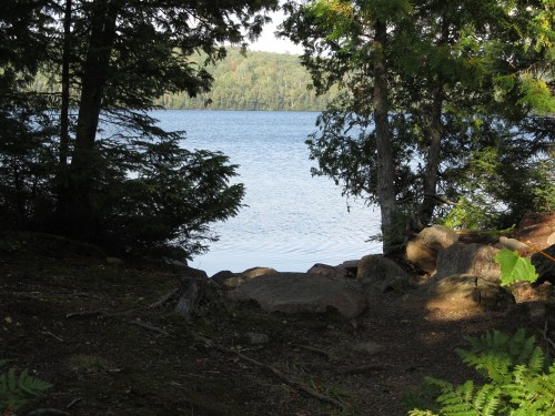 Cabin 5 Lake View